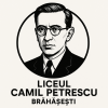 Liceul Teoretic "Camil Petrescu"